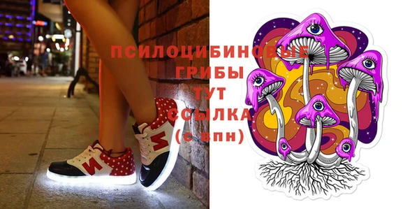 гидра Алексин