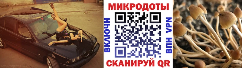 Галлюциногенные грибы мухоморы  Харовск 